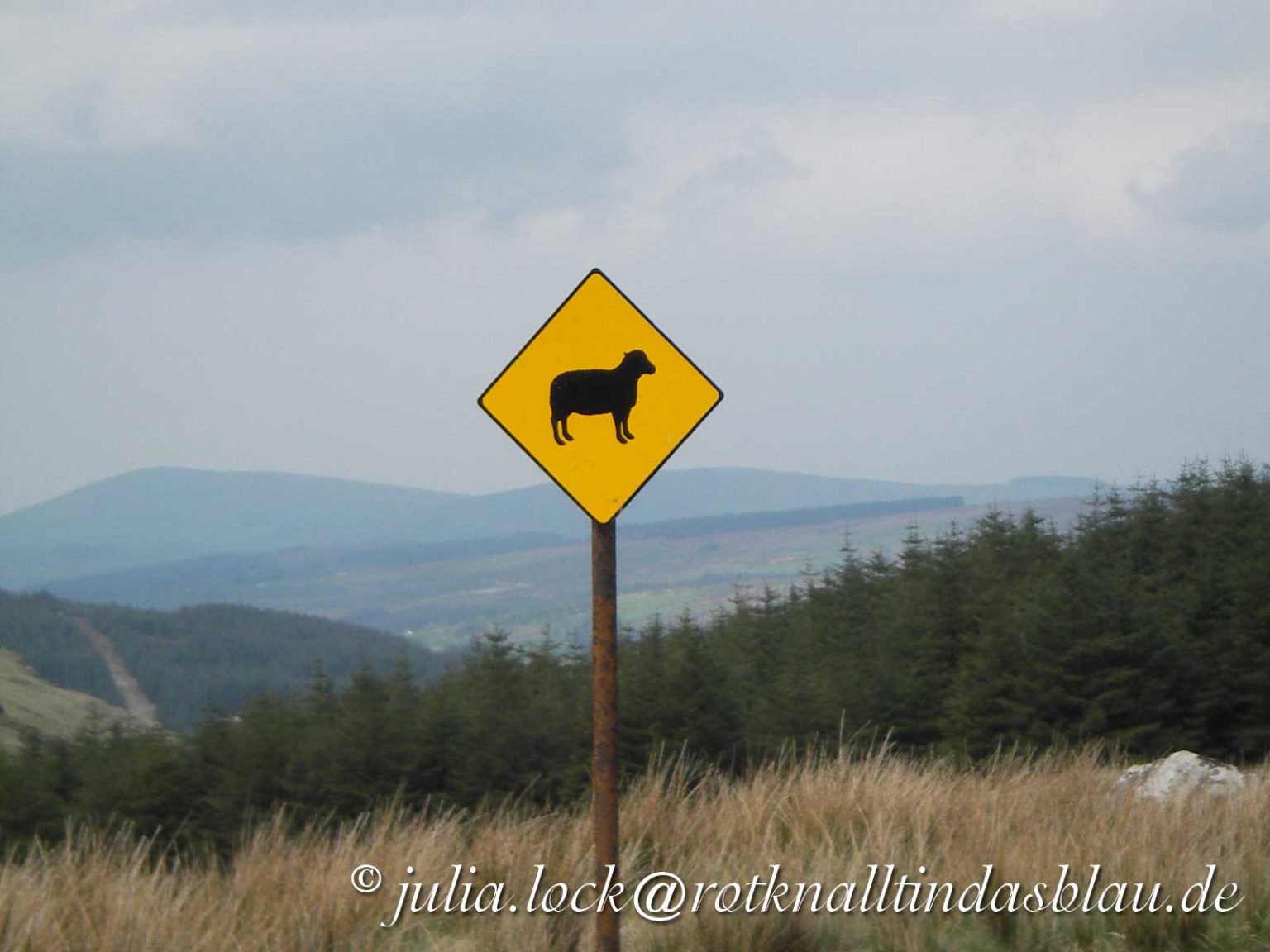 Hundewald Rot knallt in das Blau