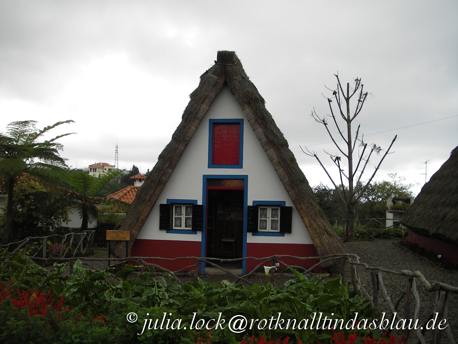 traditionelles madeirisches Bauernhaus23.10.2010, Kuh, Madeira, Portugal